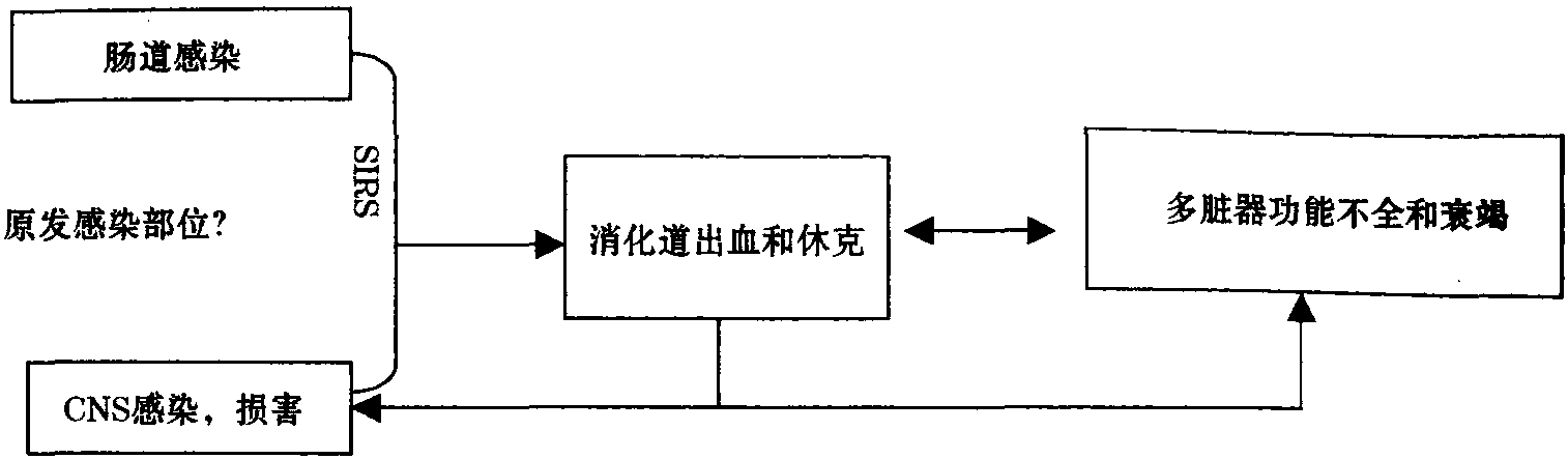 高熱、腹瀉、消化道出血、抽搐、昏迷——出血性休克腦病綜合征